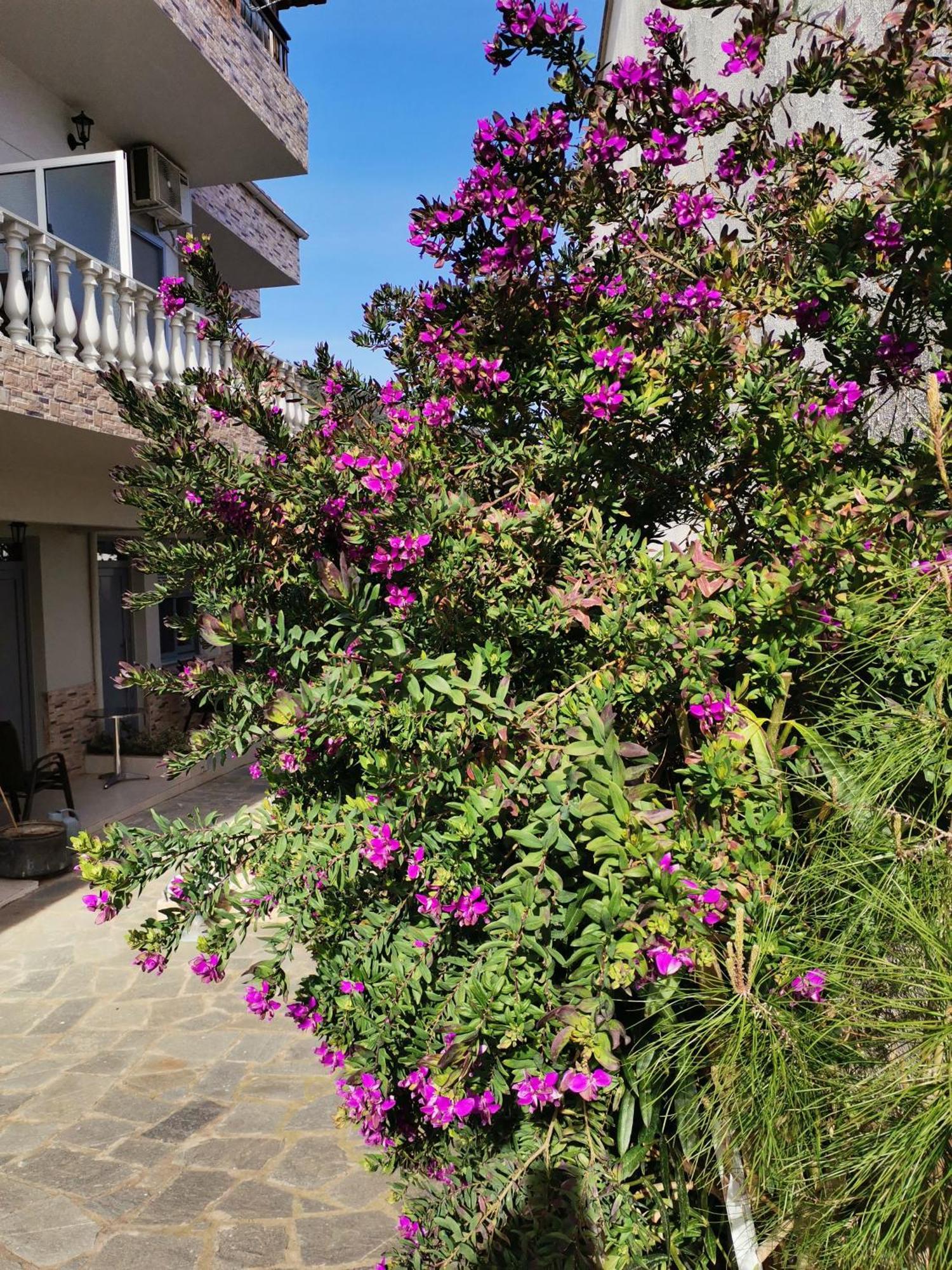 Studios Lia Adults Only -Fully Renovated Chrysi Ammoudia Luaran gambar